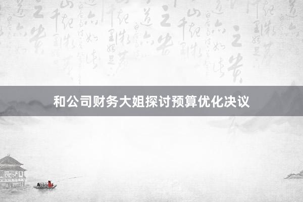 和公司财务大姐探讨预算优化决议