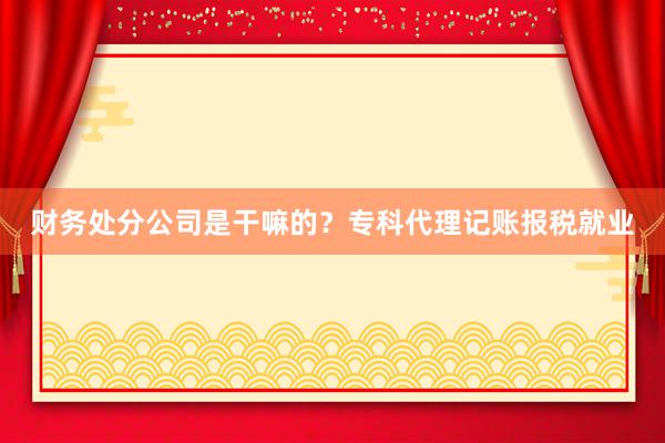 财务处分公司是干嘛的？专科代理记账报税就业