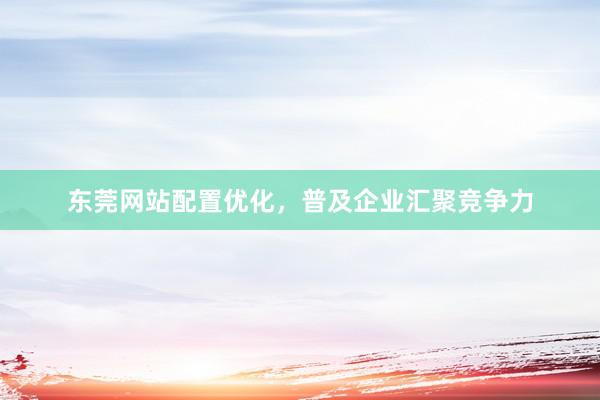 东莞网站配置优化，普及企业汇聚竞争力