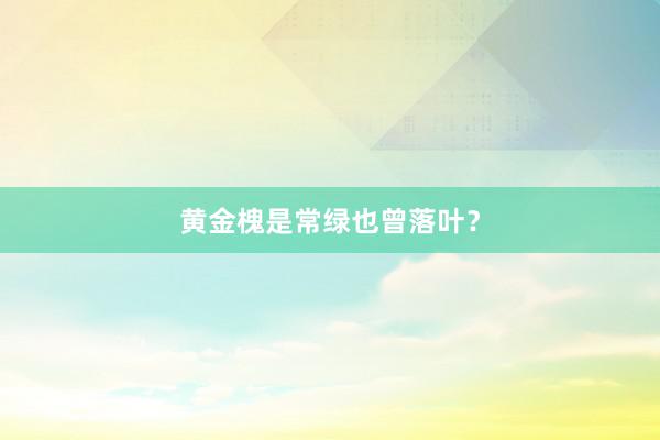 黄金槐是常绿也曾落叶？