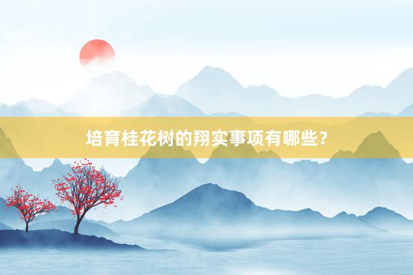 培育桂花树的翔实事项有哪些？